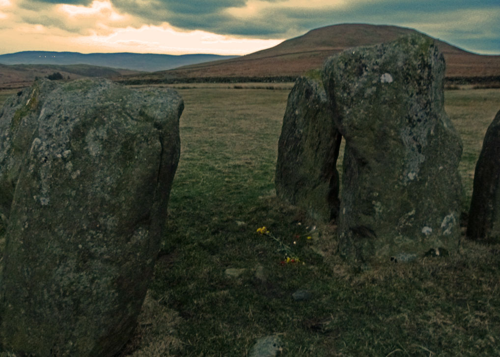 Flowers at the entrance - perhaps left from the Winter Solstice Swinside Stone Circle, entrance