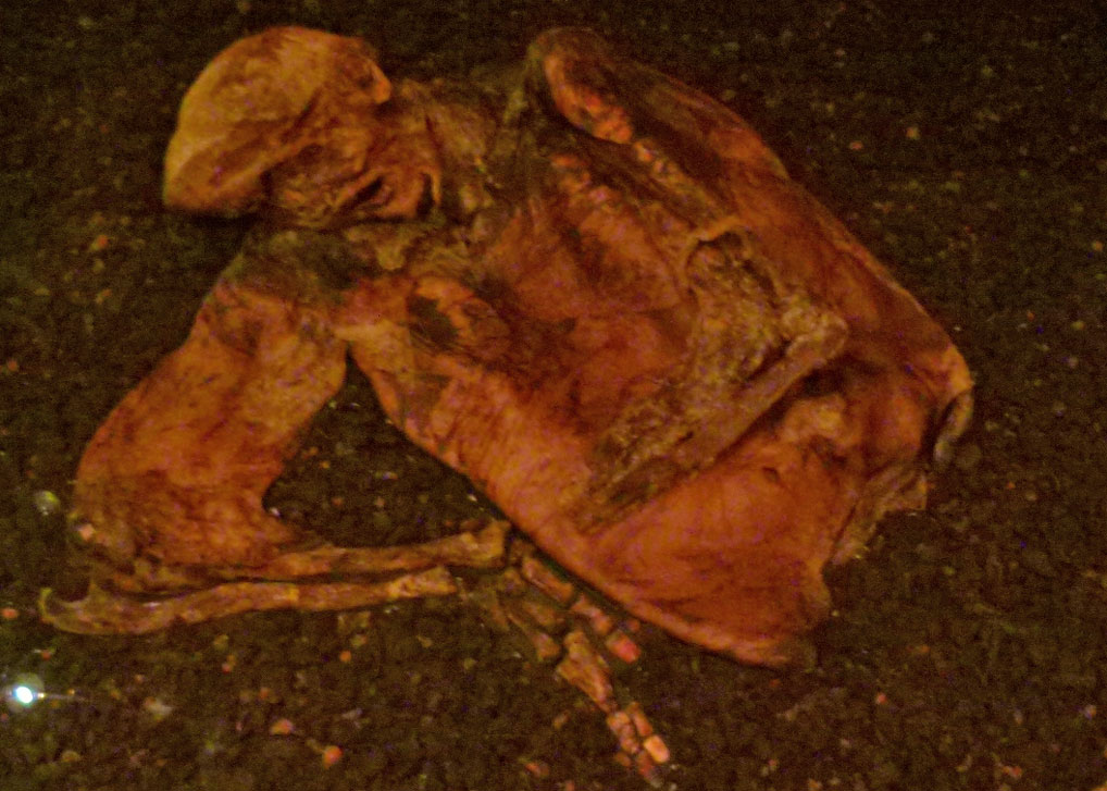 Lindow Man - Iron Age or Romano British, discovered in Cheshire British Museum - Lindow Man - Iron Age or Romano British, discovered in Cheshire