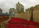 Poppies, Tower of London, Blood Swept Lands and Seas of Red