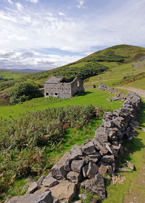 Field barn, Swaledale