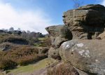 Visit Brimham Rocks