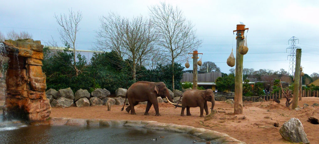 A visit to Chester Zoo