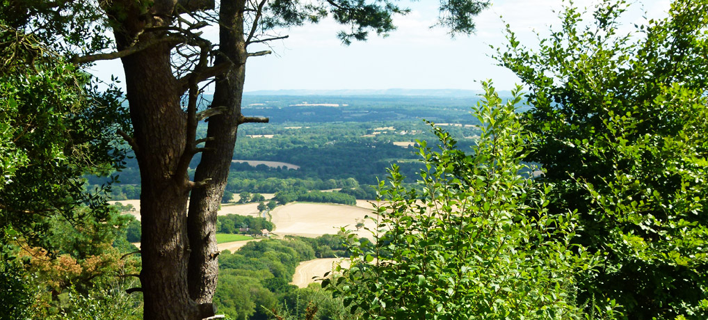 On Leith Hill