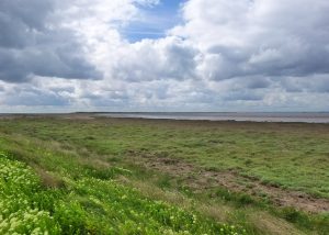 Spurn landscape and the Humber