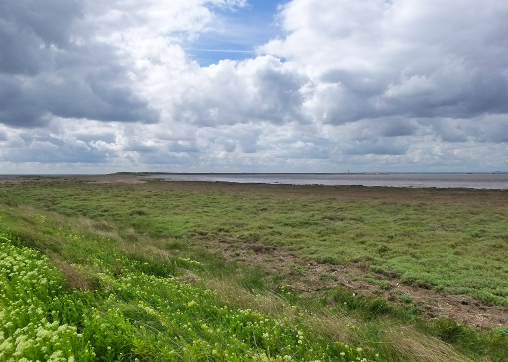 Spurn landscape and the Humber