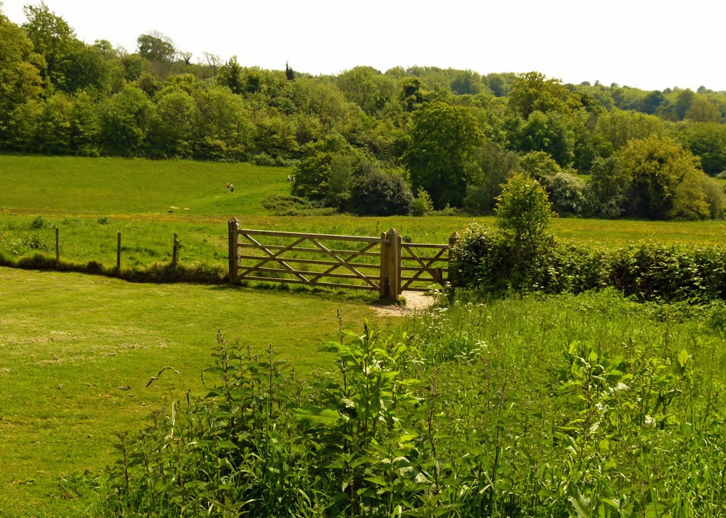 The Battle of Hastings