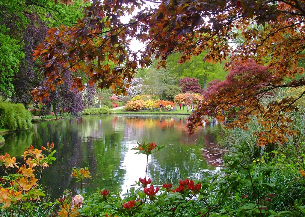 Exbury Gardens - tranquility on the edge of the New Forest Visit Exbury Gardens in Hampshire
