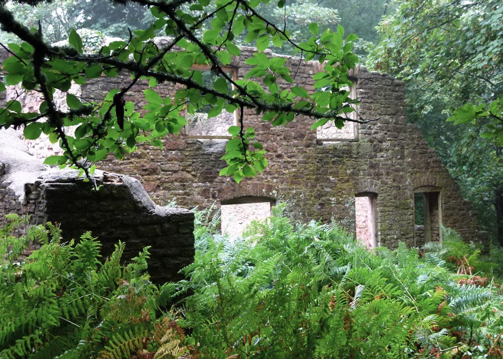 Laundry Cottages, Tyneham