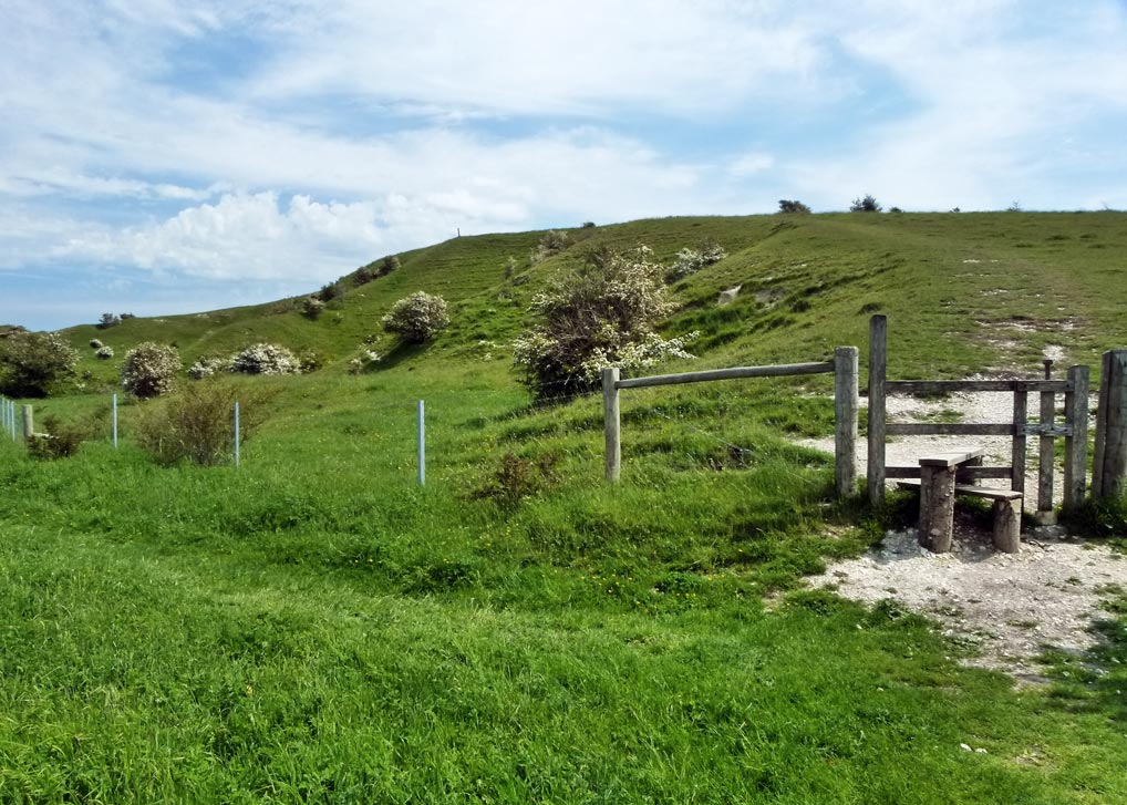Woolstonbury Hill, West Sussex, Bronze Age enclosure and SSSI